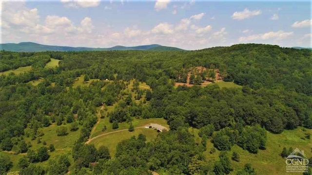 0 Off State Route 23, Windham, NY 12496