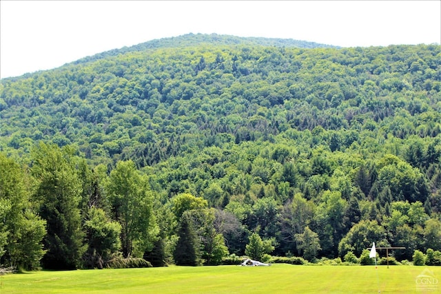 0 Off State Route 23, Windham, NY 12496