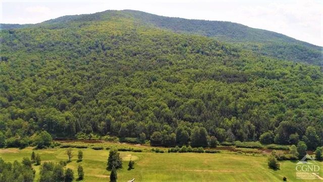 0 Off State Route 23, Windham, NY 12496