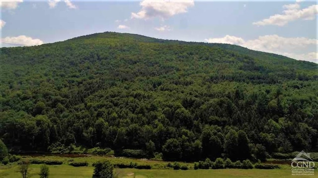 0 Off State Route 23, Windham, NY 12496