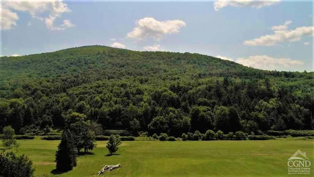 0 Off State Route 23, Windham, NY 12496
