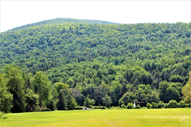 0 Off State Route 23, Windham, NY 12496
