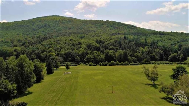 0 Off State Route 23, Windham, NY 12496