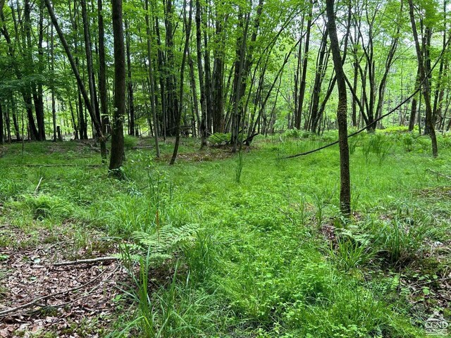 0 Vare Rd, Ashland, NY 12407