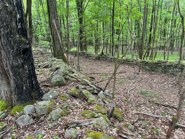 0 Vare Rd, Ashland, NY 12407