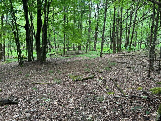 0 Vare Rd, Ashland, NY 12407