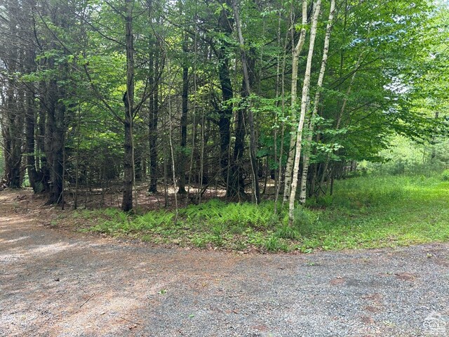 0 Vare Rd, Ashland, NY 12407