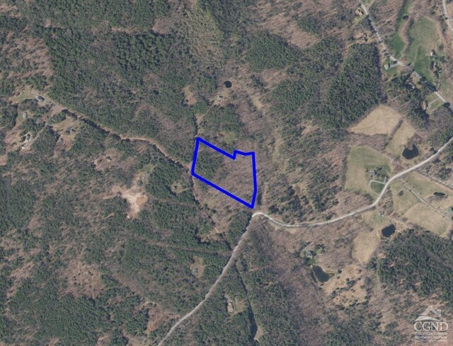 0 Vare Rd, Ashland, NY 12407