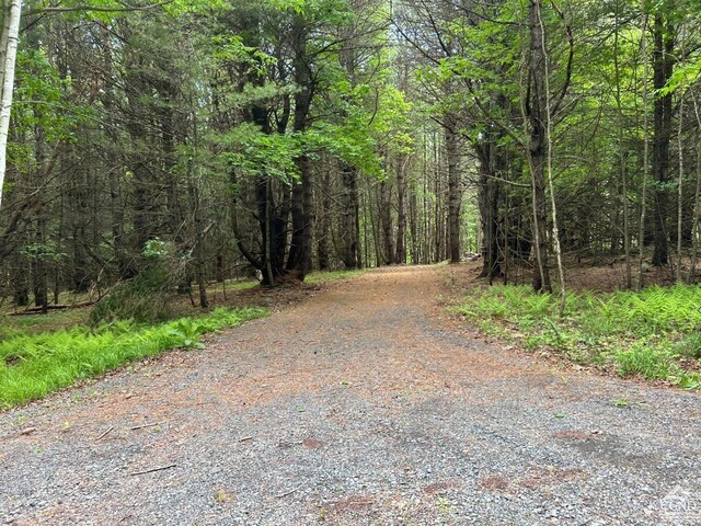 0 Vare Rd, Ashland, NY 12407