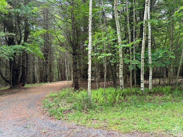 0 Vare Rd, Ashland, NY 12407