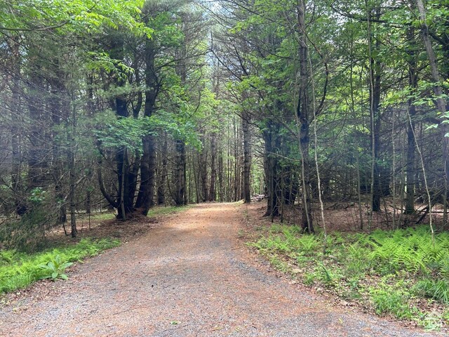 0 Vare Rd, Ashland, NY 12407
