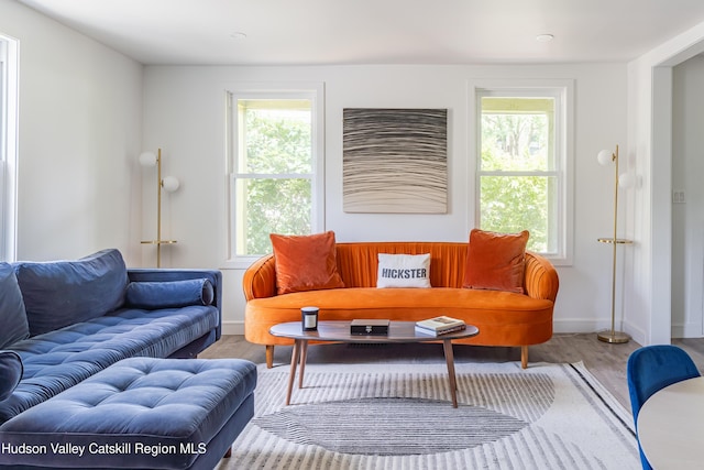 living room with hardwood / wood-style floors and a wealth of natural light