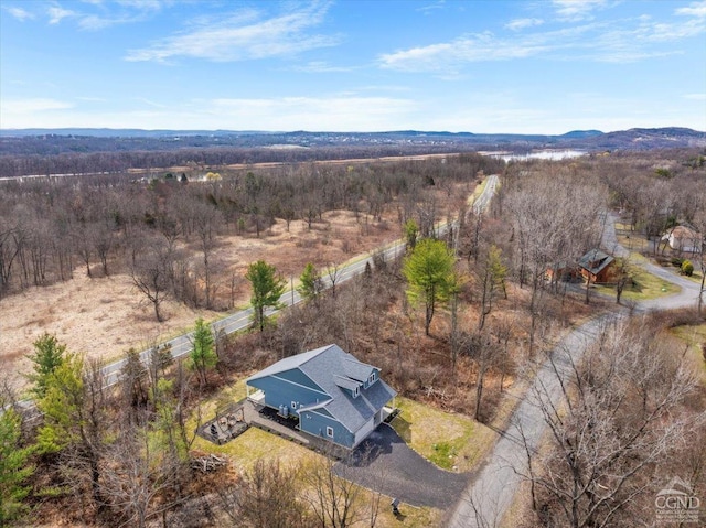 26 Debbie Dr, Athens, NY 12015 - photo 36