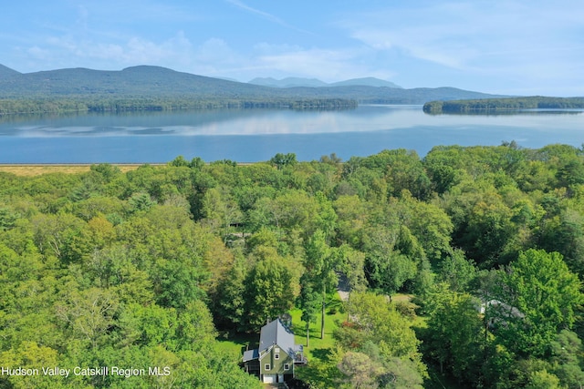 drone / aerial view with a water and mountain view