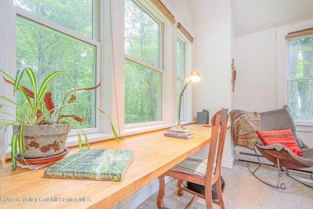 58 Peak Rd, Stone Ridge, NY 12484 - photo 21