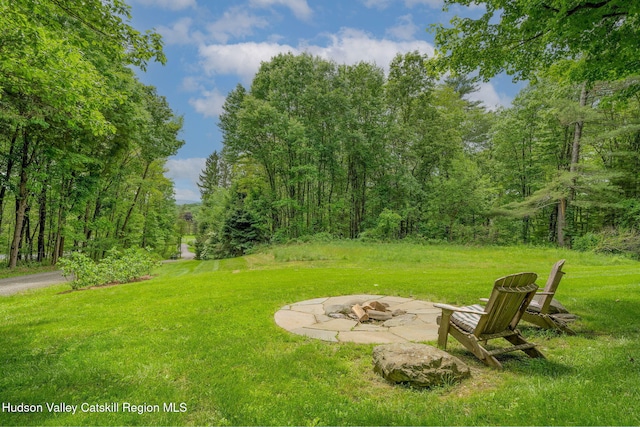 58 Peak Rd, Stone Ridge, NY 12484 - photo 43