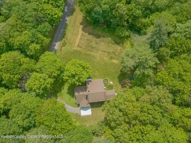 58 Peak Rd, Stone Ridge, NY 12484 - photo 36