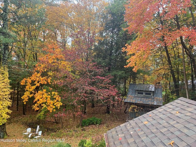 58 Peak Rd, Stone Ridge, NY 12484 - photo 45