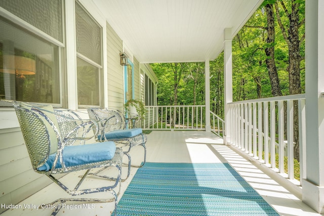 58 Peak Rd, Stone Ridge, NY 12484 - photo 7