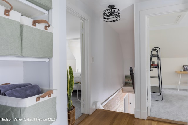 hall with baseboards and wood finished floors