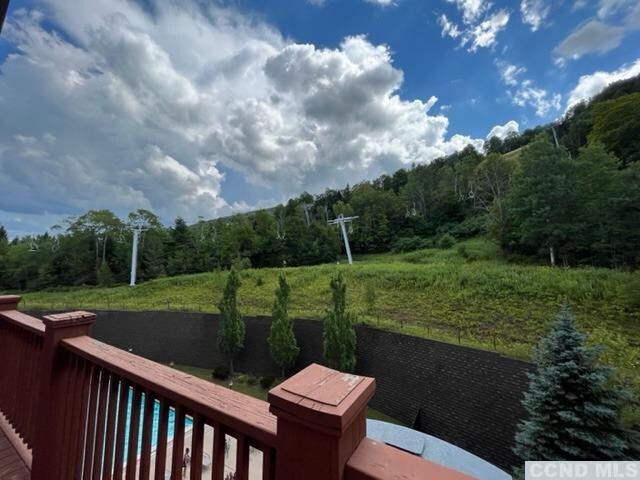 62 Liftside Dr Unit 417, Hunter, NY 12442 - photo 16