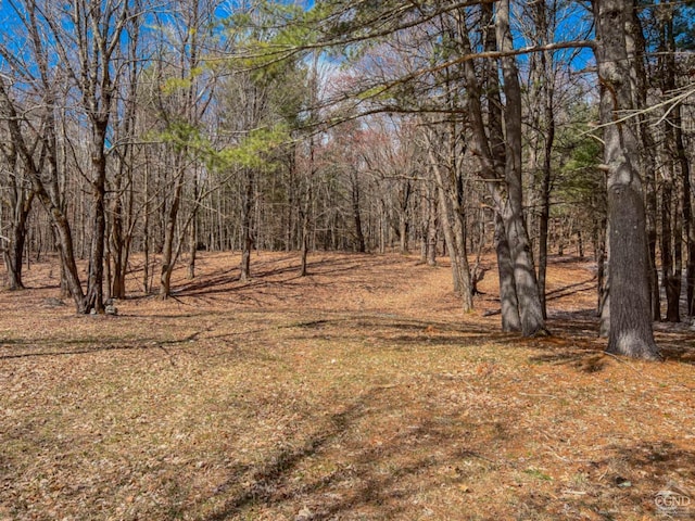 0 County Route 9, Chatham, NY 12037