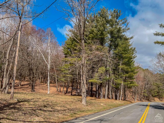 0 County Route 9, Chatham, NY 12037
