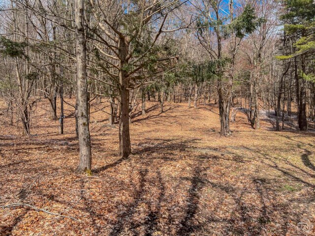 0 County Route 9, Chatham, NY 12037