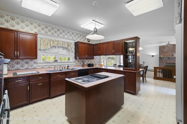 kitchen featuring a healthy amount of sunlight, a sink, stainless steel electric stovetop, and light floors