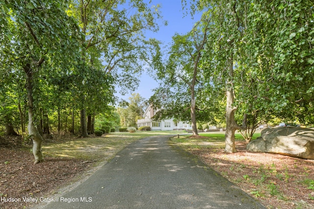 view of street featuring aphalt driveway