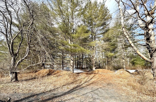 Listing photo 3 for 547 Glenford-Wittenberg Rd, Bearsville NY 12409