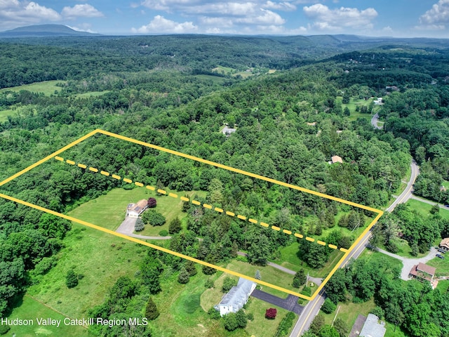 2871 Old Kings Rd, Catskill, NY 12414 - photo 52