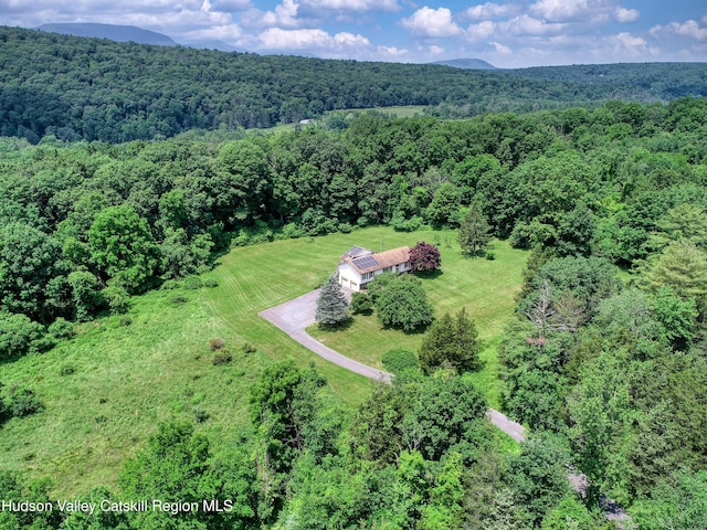 2871 Old Kings Rd, Catskill, NY 12414 - photo 59