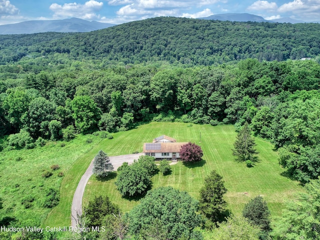 2871 Old Kings Rd, Catskill, NY 12414 - photo 57