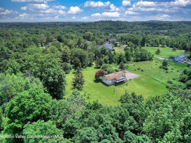 2871 Old Kings Rd, Catskill, NY 12414 - photo 58