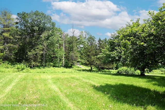 2871 Old Kings Rd, Catskill, NY 12414 - photo 46
