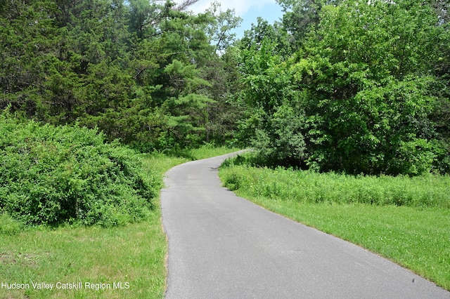 2871 Old Kings Rd, Catskill, NY 12414 - photo 48