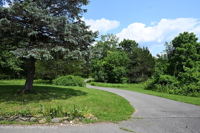 2871 Old Kings Rd, Catskill, NY 12414 - photo 49