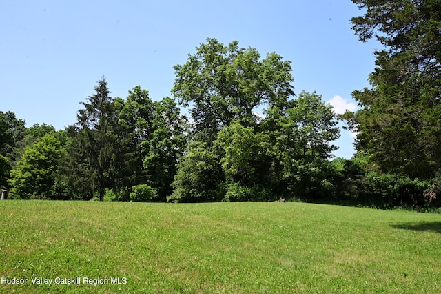 2871 Old Kings Rd, Catskill, NY 12414 - photo 47