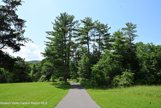 2871 Old Kings Rd, Catskill, NY 12414 - photo 50