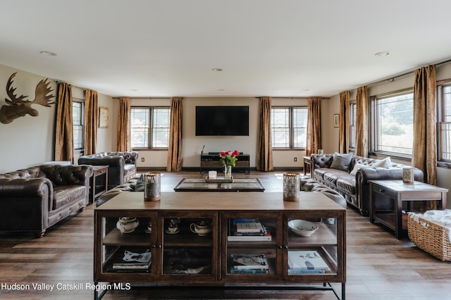 living room with a wealth of natural light and hardwood / wood-style flooring