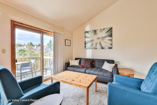28 Loo Bridge Ln Unit 22A, Windham, NY 12496 - living area with vaulted ceiling