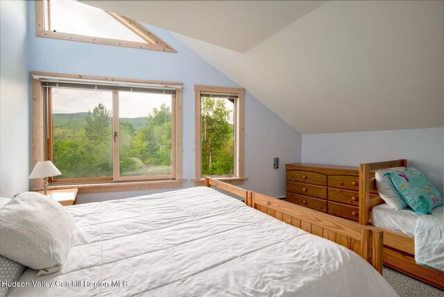 59 Mountain Dr, Hunter, NY 12442 - bedroom featuring lofted ceiling