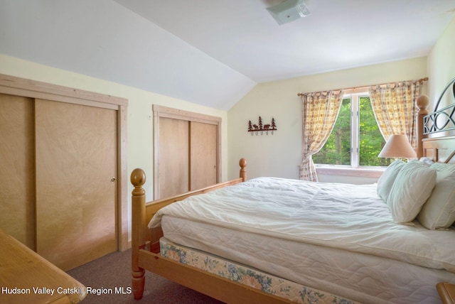 59 Mountain Dr, Hunter, NY 12442 - bedroom with lofted ceiling, carpet flooring, and two closets