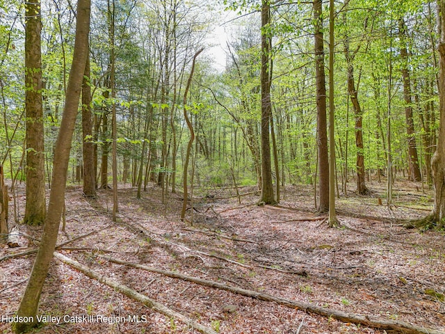00 John Yaeger Rd, Saugerties, NY 12477