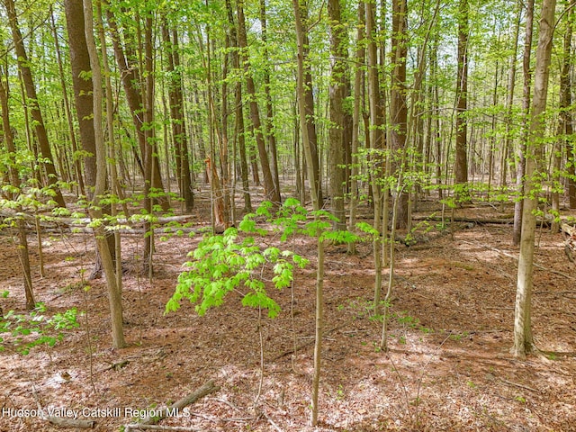 00 John Yaeger Rd, Saugerties, NY 12477