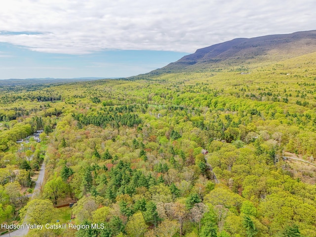 00 John Yaeger Rd, Saugerties, NY 12477