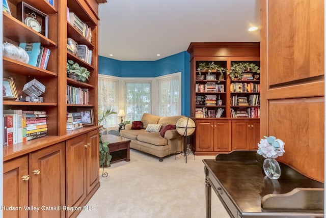 21 Amy Ct, Kingston, NY 12401 - photo 30