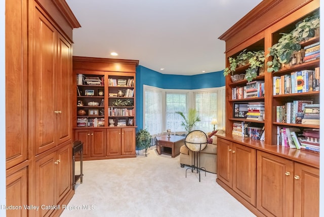 21 Amy Ct, Kingston, NY 12401 - photo 29