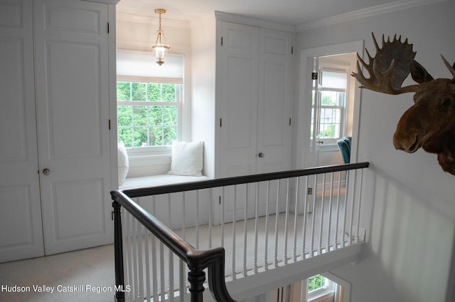 115 Ringtop Rd, Kingston, NY 12401 - photo 28